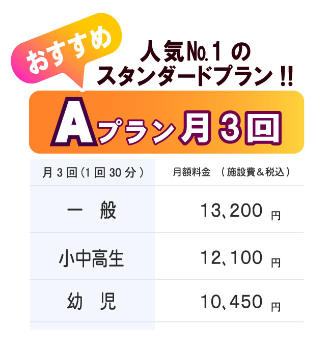 おすすめ料金プランA