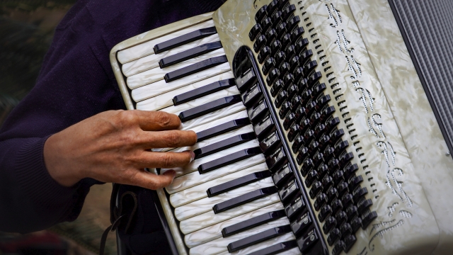 アコーディオンの写真